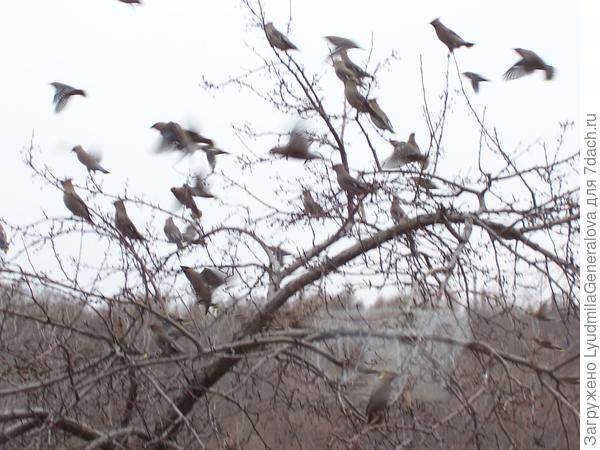 Хорошо, когда есть чем и где перекусить во время перелёта.