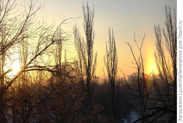 Слева солнце, справа - гало.