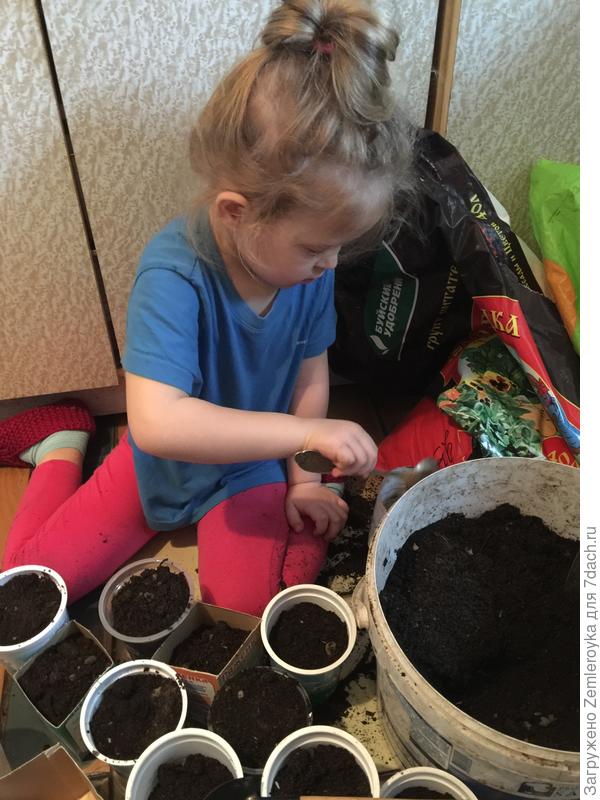 Юная пикировщица