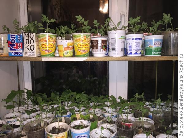 Места больше нет