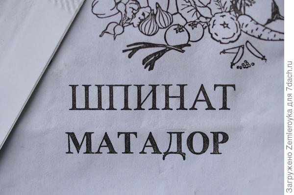 Самый дешёвый пакетик:)