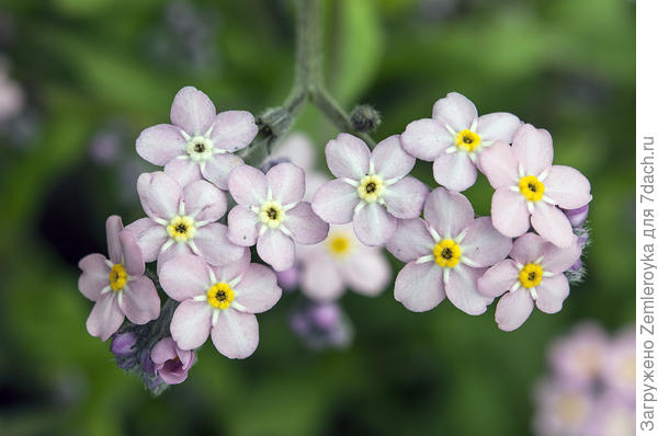 Для Татьяны