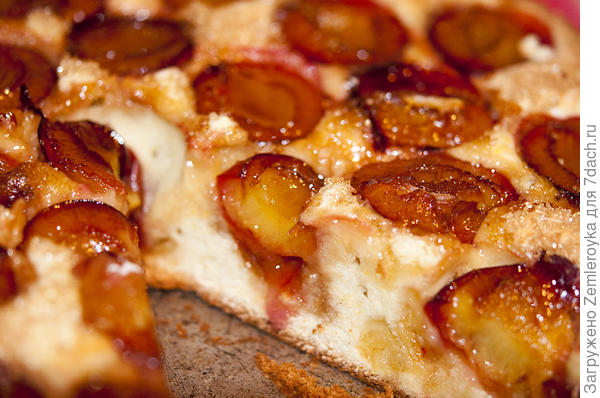 Пирог в разрезе