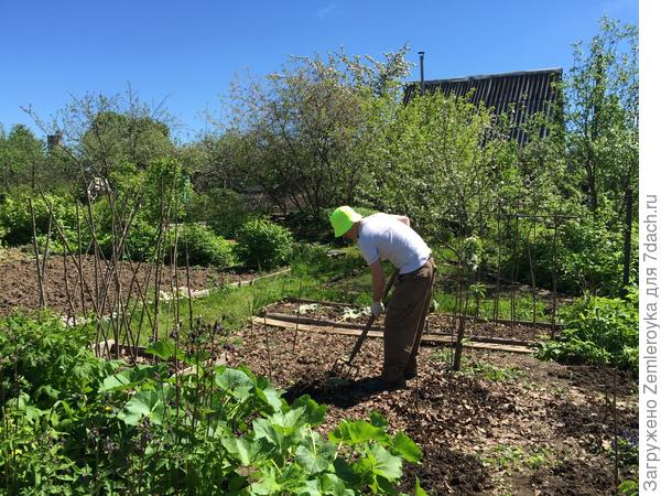 Весна. Часть наших владений