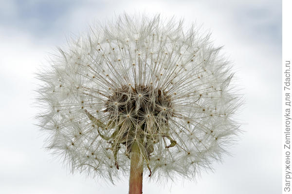 В ожидании...