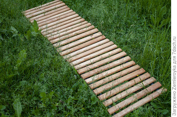 Лицевая сторона