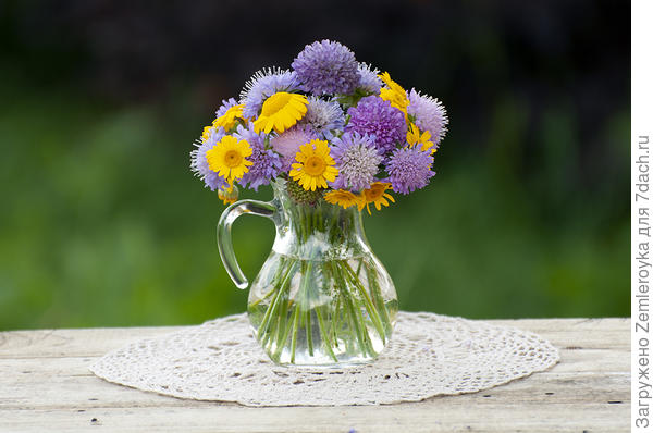 Букетик с короставником для Светланы