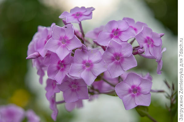 Для Татьяны