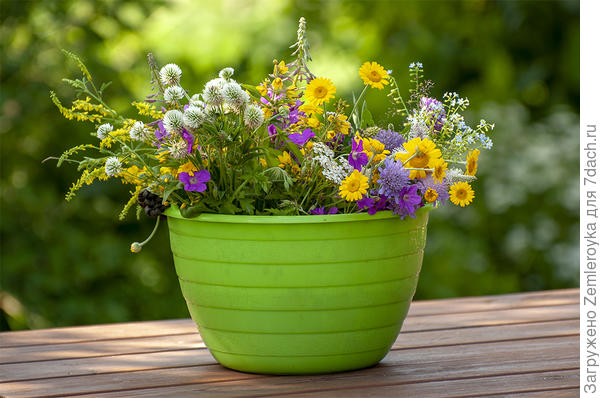 Ведёрко полевых цветов для Ганны