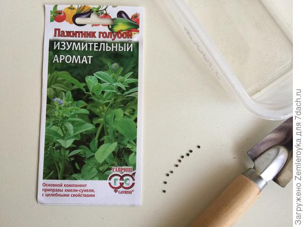 Семена