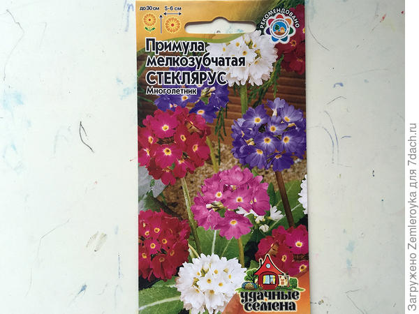 Пакетик с семенами. Семена и правда оказались Удачными)))