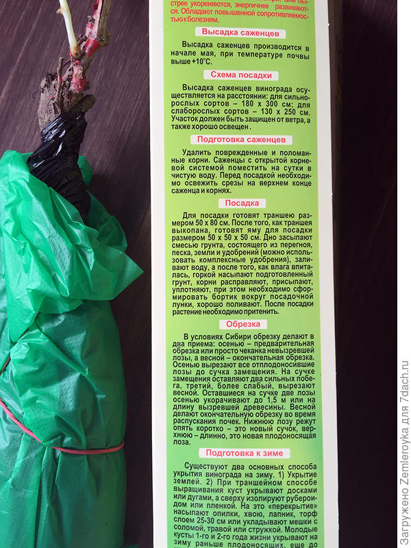 Рекомендации