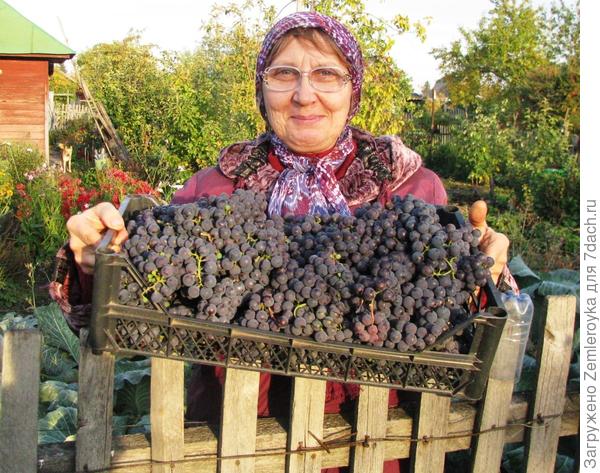 Соседка Людмилы