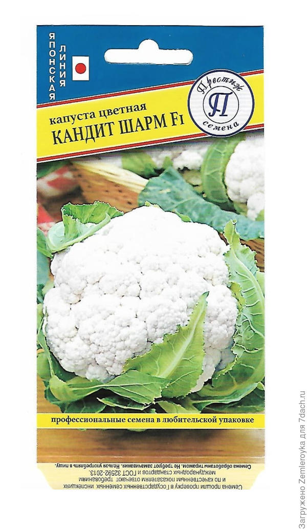 Лицевая сторона