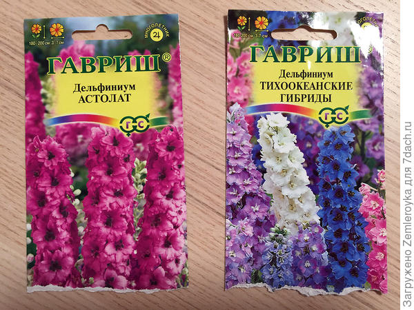 Вот такие были семена