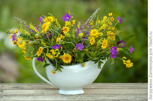 Для тестировщиков Аэлиты 2020