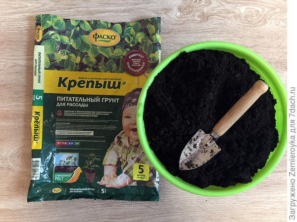 Грунт