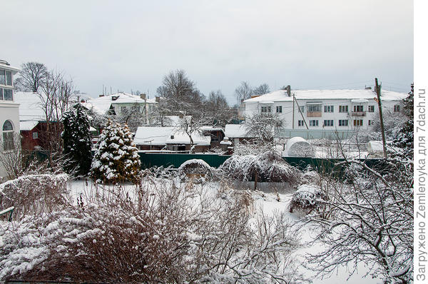 Западное окно