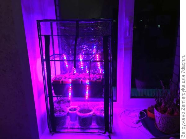 На подоконнике