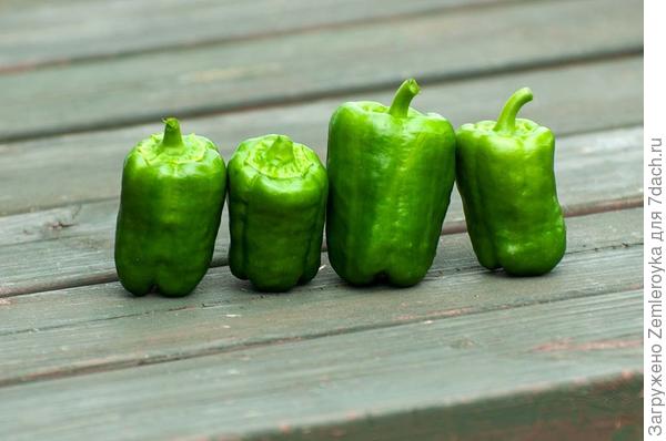 Первые недоразвитые плоды в возрасте 96 дней