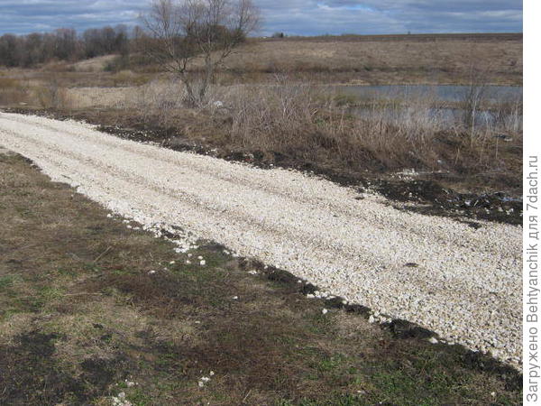 О счастье! 2017г