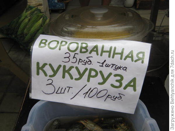 Это я на рынке сфоткала