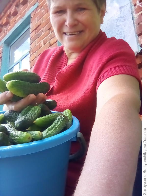 Первый урожай