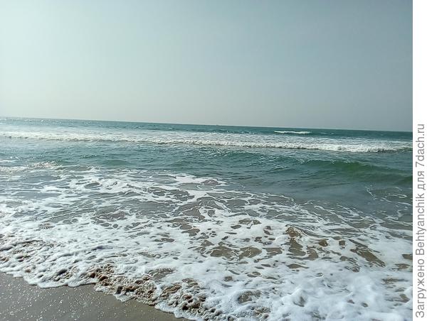 Аравийское море