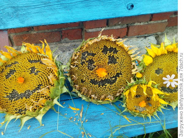 Мои страшненькие, но весёленькие