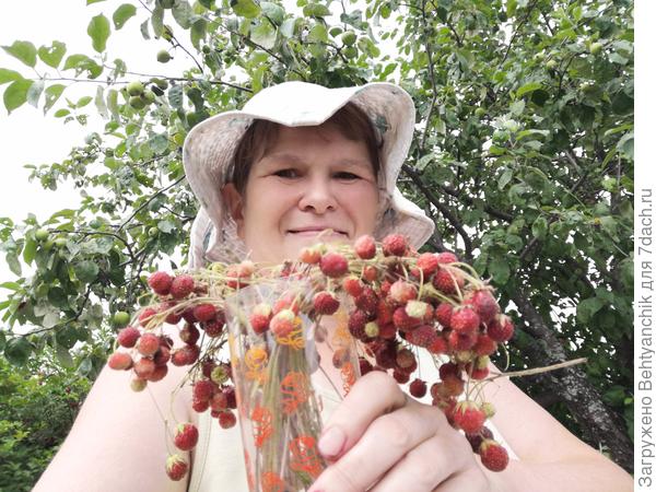 Обязательно набираю и вот такой букетик-посушить, а потом - в чай