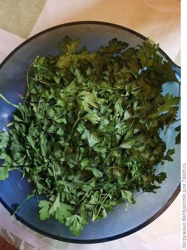 высушенная зелень