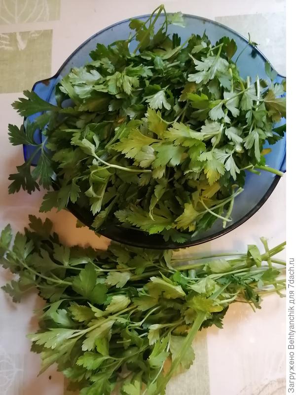 Положили зелень в толстую тарелку