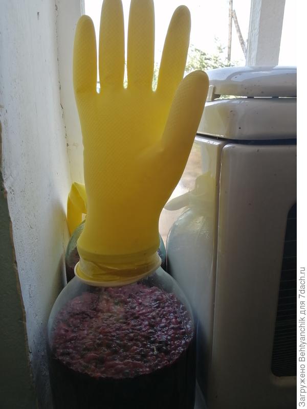 вино делается