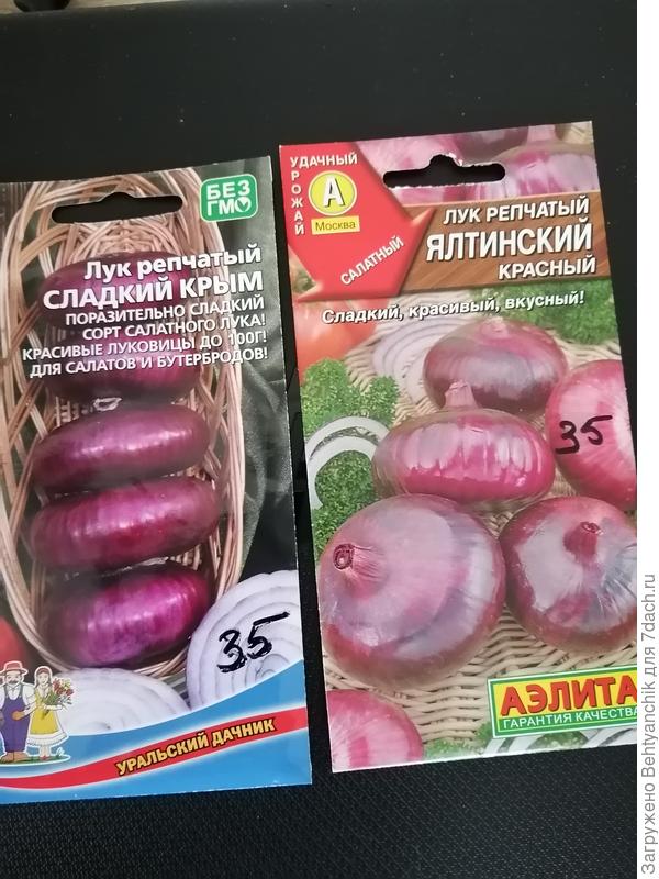 Лук "Сладкий Крым" и  "Ялтинский". Хочется вырастить таких красавцев.