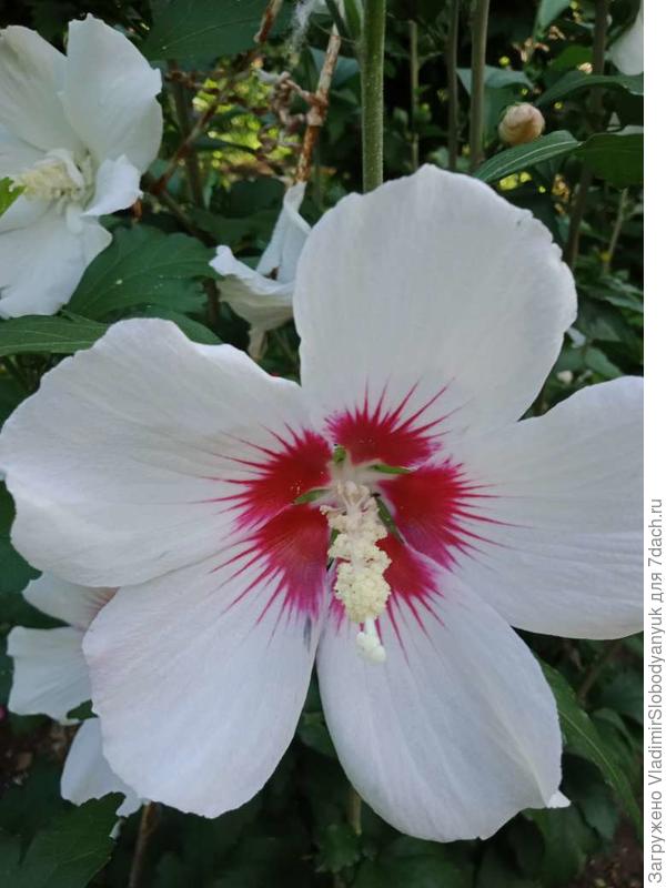 настроения