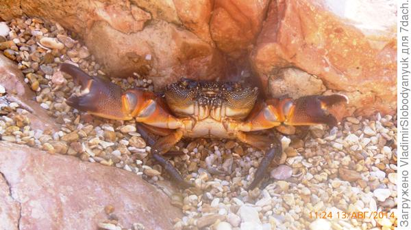 подходи   и бери