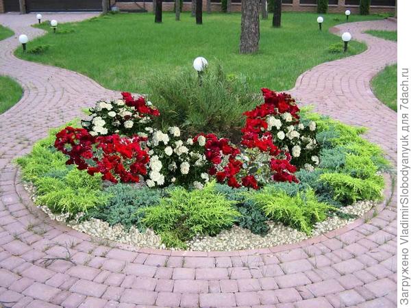 клумба