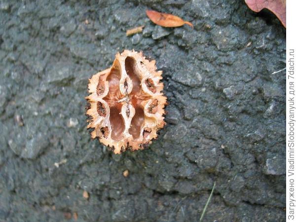 будет красиво