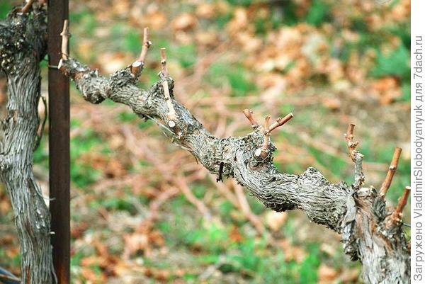 а  я  режу    вообще  так