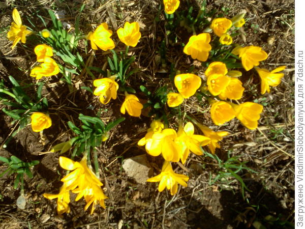 сегодня во дворе