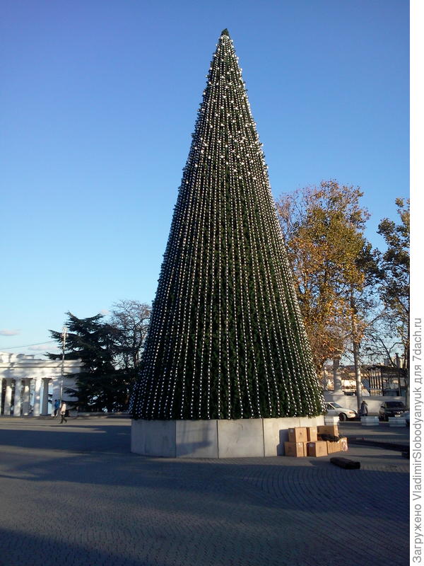 елку   ставят