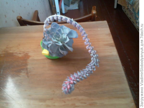 она наверное