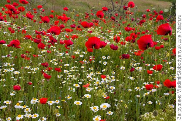 потерпеть чуть чуть   осталось