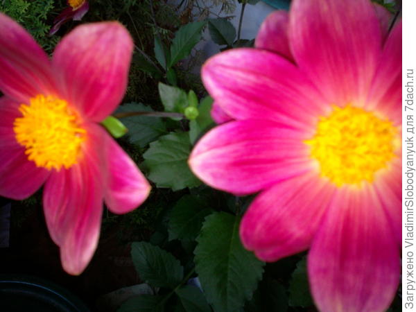 на  лоджии  сейчас