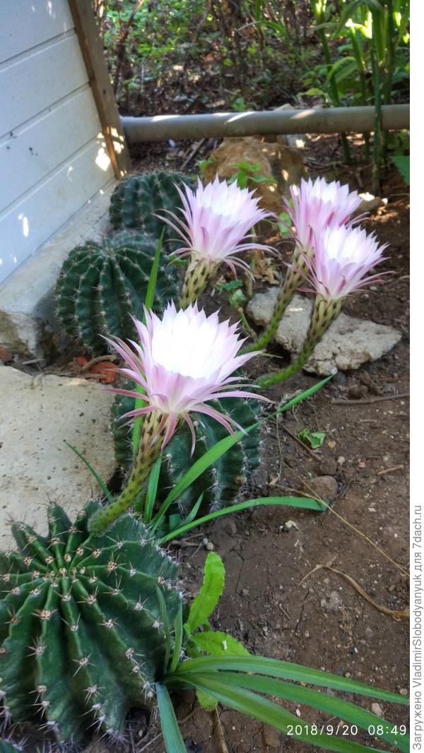 все будет хорошо