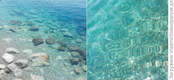 В море их тоже много