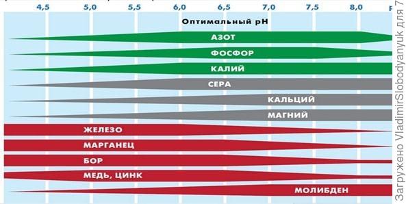 доступность