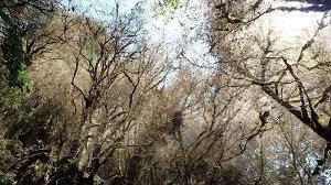 как  в  сказках только страшных