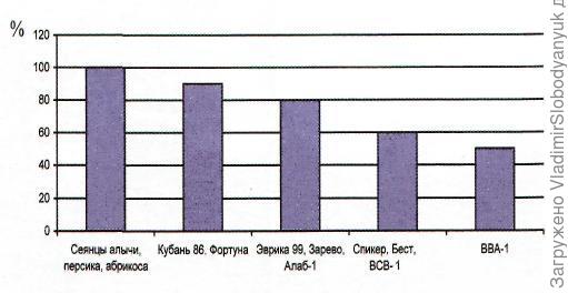 разница по высоте