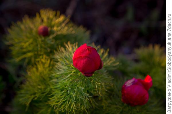 фото Татьяна Антонюк
